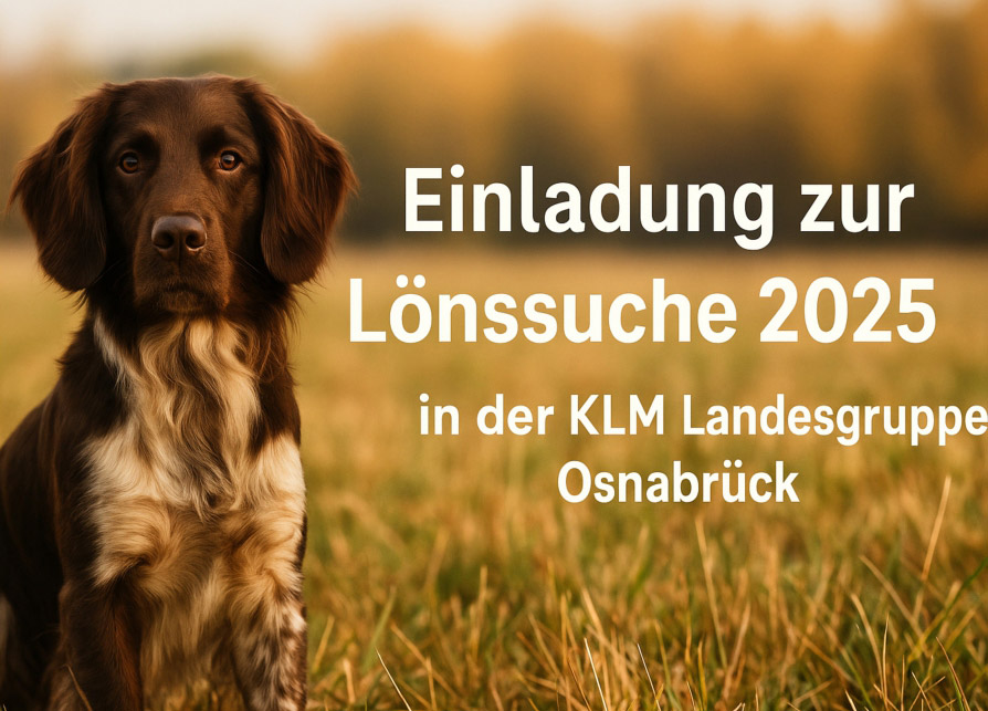Loernsuche 2025 - Verband für Kleine Münsterländer Landesgruppe Südbayern e.V
